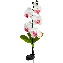 Feron PL301, "Орхидея" белая с розовым 5LED(белый), светильник 70см 1/24